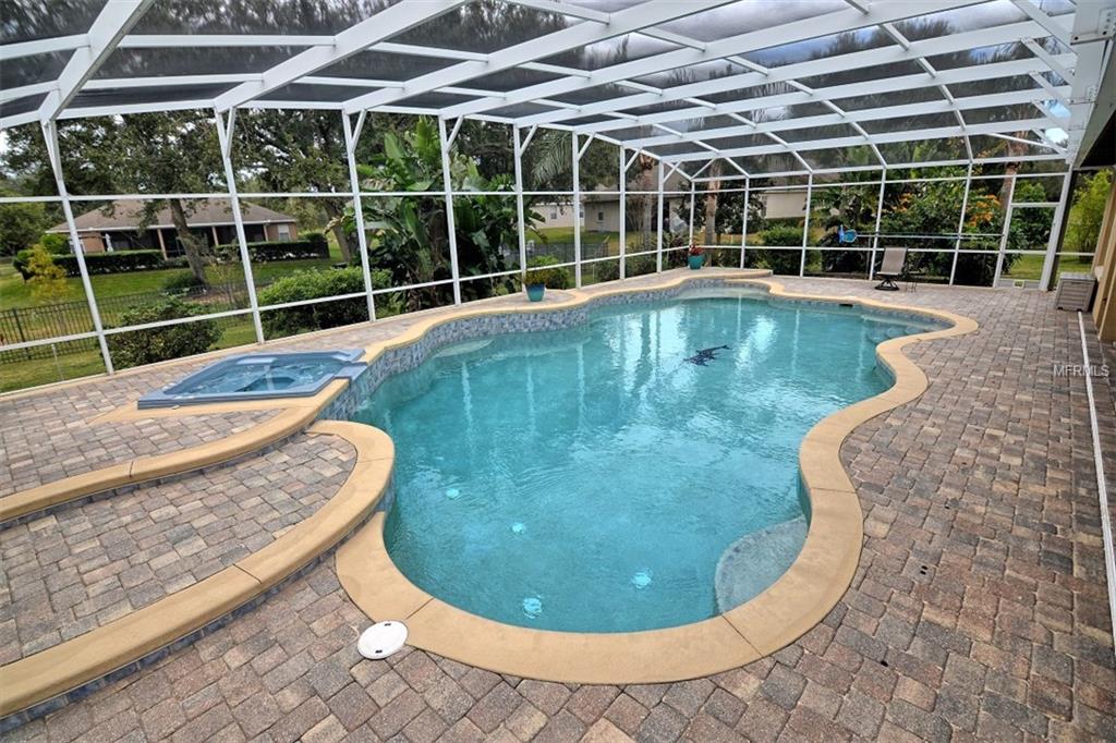 611 WOOD HOLLOW COURT, APOPKA, Florida 32712, 5 Bedrooms Bedrooms, 11 Rooms Rooms,4 BathroomsBathrooms,Residential,For sale,WOOD HOLLOW,O5551690