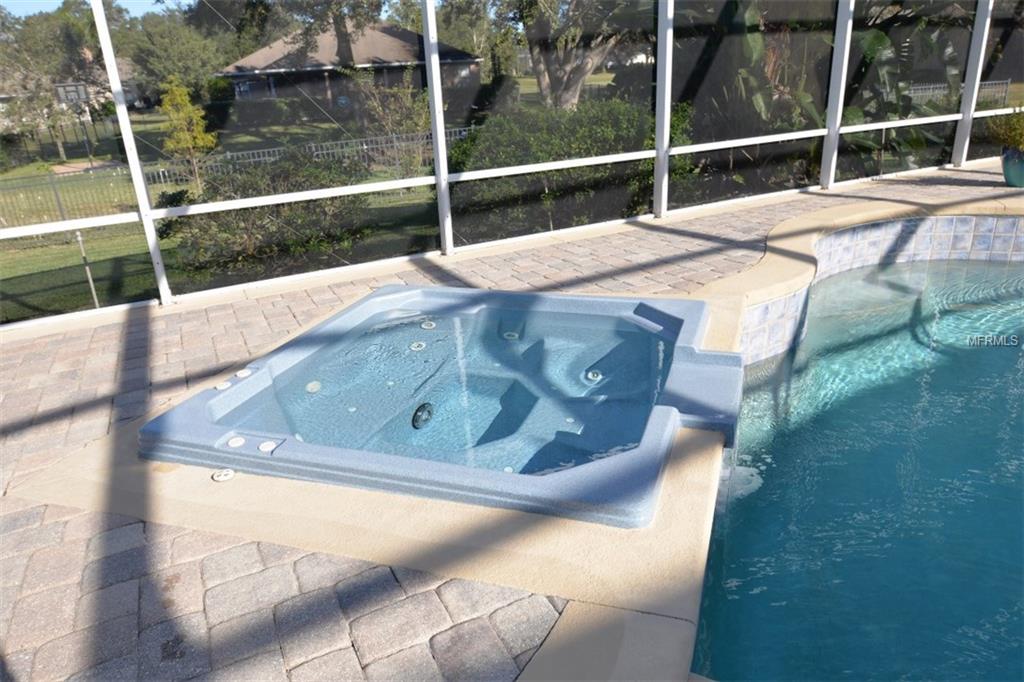 611 WOOD HOLLOW COURT, APOPKA, Florida 32712, 5 Bedrooms Bedrooms, 11 Rooms Rooms,4 BathroomsBathrooms,Residential,For sale,WOOD HOLLOW,O5551690