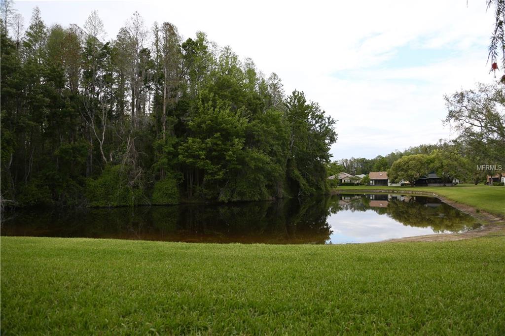 11539 SCOTCH PINE DRIVE, NEW PORT RICHEY, Florida 34654, 2 Bedrooms Bedrooms, 5 Rooms Rooms,1 BathroomBathrooms,Residential,For sale,SCOTCH PINE,W7635754