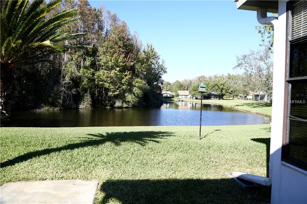 11539 SCOTCH PINE DRIVE, NEW PORT RICHEY, Florida 34654, 2 Bedrooms Bedrooms, 5 Rooms Rooms,1 BathroomBathrooms,Residential,For sale,SCOTCH PINE,W7635754