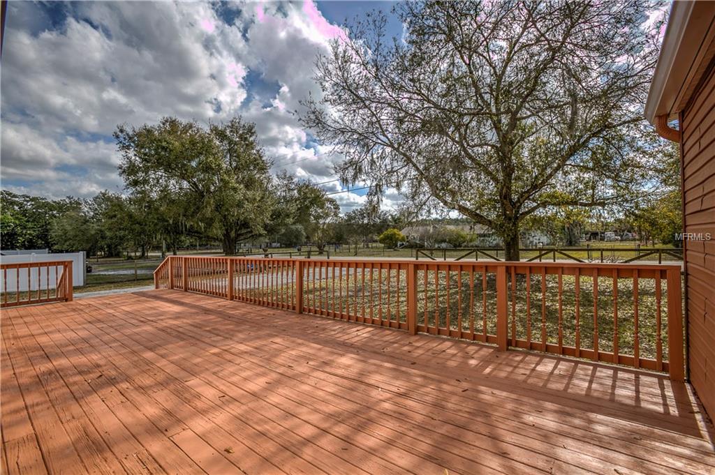 14727 SASSANDRA DRIVE, ODESSA, Florida 33556, 3 Bedrooms Bedrooms, 6 Rooms Rooms,2 BathroomsBathrooms,Residential,For sale,SASSANDRA,T2927763