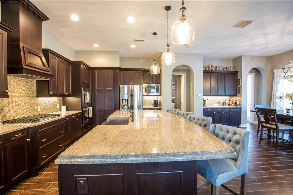 28567 CORBARA PLACE, WESLEY CHAPEL, Florida 33543, 5 Bedrooms Bedrooms, 11 Rooms Rooms,4 BathroomsBathrooms,Residential,For sale,CORBARA,T2920243