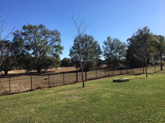 1079 ROCK CREEK STREET, APOPKA, Florida 32712, 4 Bedrooms Bedrooms, 5 Rooms Rooms,2 BathroomsBathrooms,Residential,For sale,ROCK CREEK,O5561388