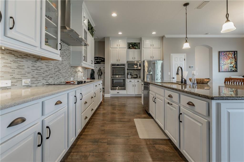 1795 TONKA TERRACE, WESLEY CHAPEL, Florida 33543, 5 Bedrooms Bedrooms, 6 Rooms Rooms,4 BathroomsBathrooms,Residential,For sale,TONKA,T2922724