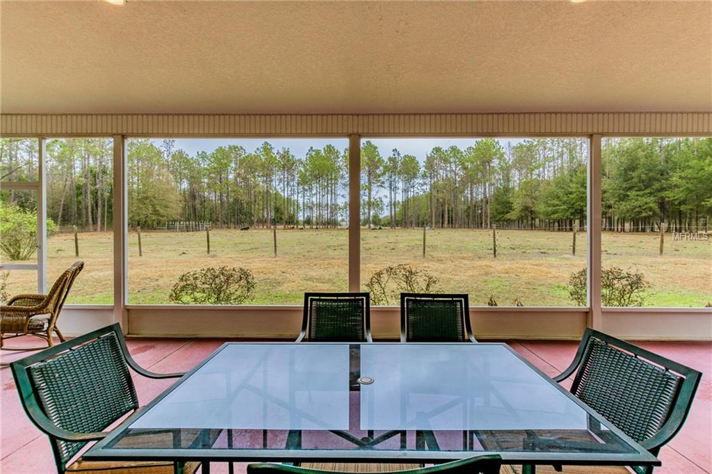 16002 LAKE IOLA ROAD, DADE CITY, Florida 33523, 4 Bedrooms Bedrooms, 7 Rooms Rooms,3 BathroomsBathrooms,Residential,For sale,LAKE IOLA,U7846415