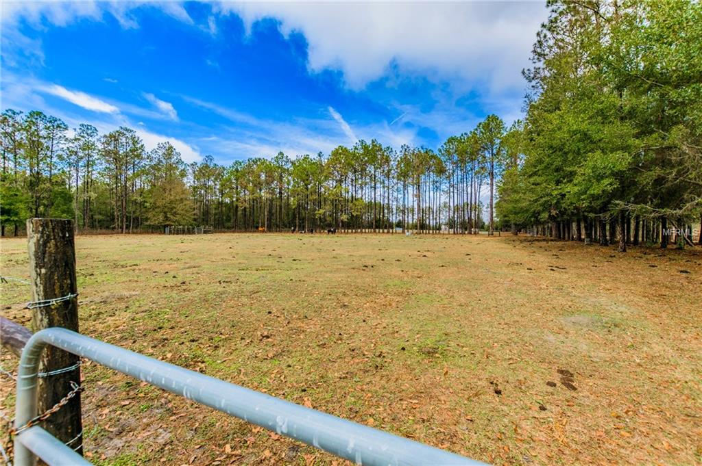 16002 LAKE IOLA ROAD, DADE CITY, Florida 33523, 4 Bedrooms Bedrooms, 7 Rooms Rooms,3 BathroomsBathrooms,Residential,For sale,LAKE IOLA,U7846415