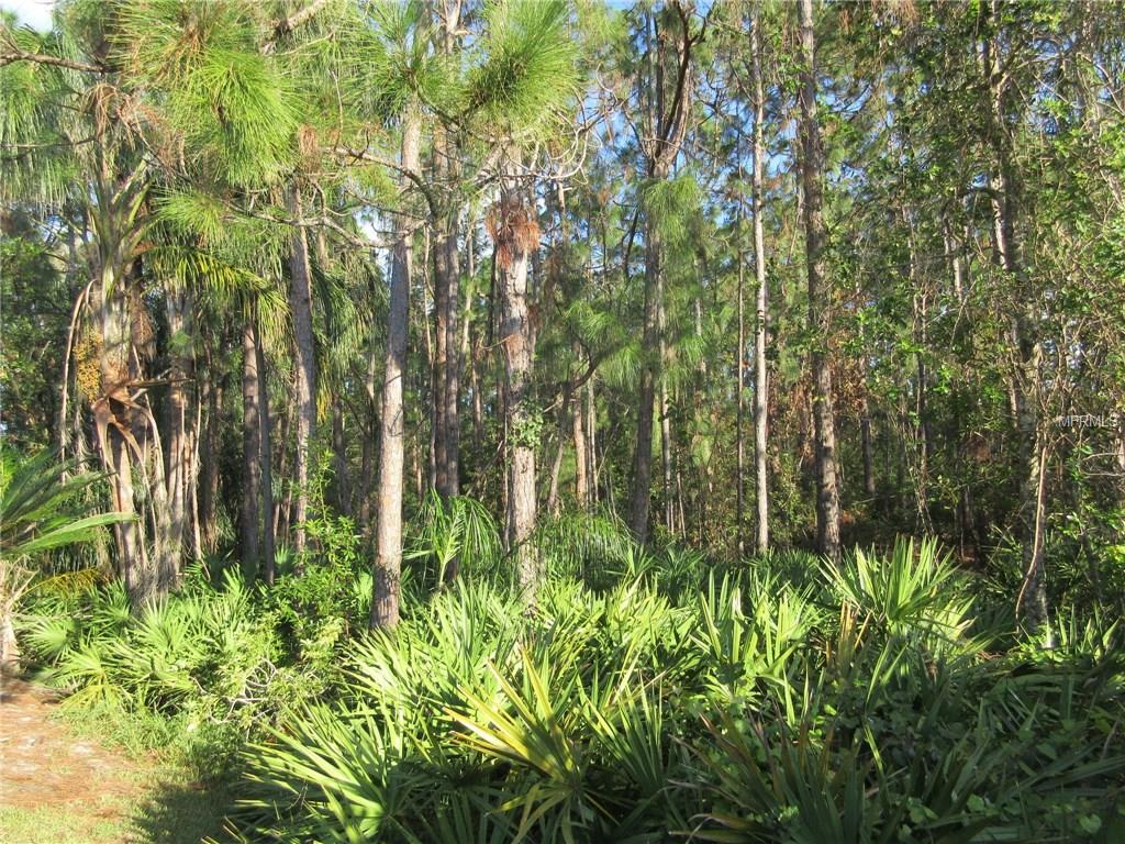 3748 PENDLEBURY DRIVE, PALM HARBOR, Florida 34685, 4 Bedrooms Bedrooms, 9 Rooms Rooms,3 BathroomsBathrooms,Residential,For sale,PENDLEBURY,U7837225