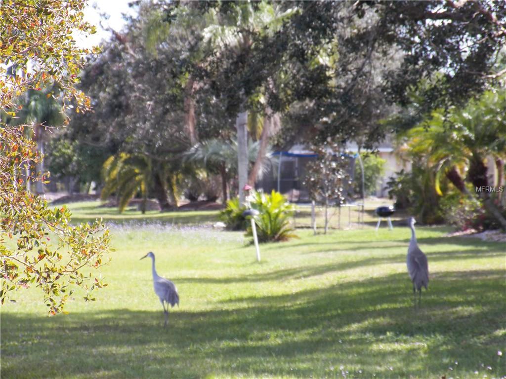 305 CLUSIA ROSEA, PUNTA GORDA, Florida 33955, 3 Bedrooms Bedrooms, 7 Rooms Rooms,2 BathroomsBathrooms,Residential,For sale,CLUSIA ROSEA,C7249078