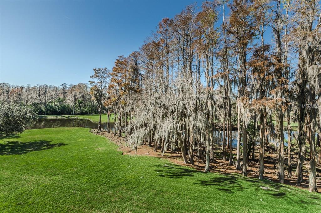 36750 US HIGHWAY 19 N, PALM HARBOR, Florida 34684, 2 Bedrooms Bedrooms, 4 Rooms Rooms,2 BathroomsBathrooms,Residential,For sale,US HIGHWAY 19,U7843206