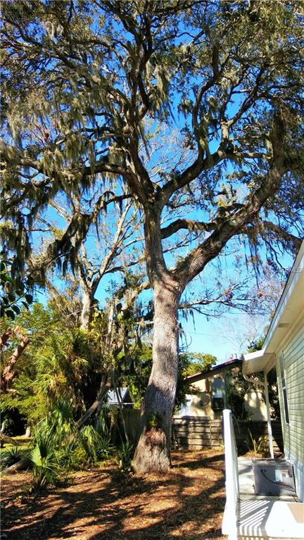 5012 31 STREET W, BRADENTON, Florida 34207, 3 Bedrooms Bedrooms, 7 Rooms Rooms,2 BathroomsBathrooms,Residential,For sale,31,A4208183