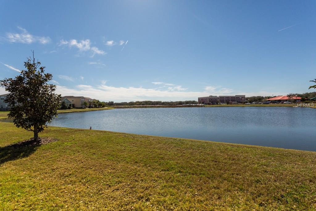 6124 CLIFF HOUSE LANE, RIVERVIEW, Florida 33578, 3 Bedrooms Bedrooms, 7 Rooms Rooms,2 BathroomsBathrooms,Residential,For sale,CLIFF HOUSE,T2926034