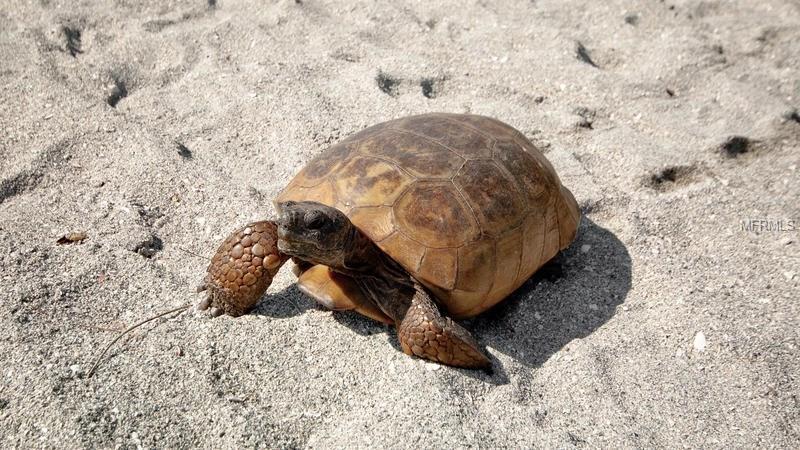 909 HARBOR DRIVE S, VENICE, Florida 34285, 3 Bedrooms Bedrooms, 7 Rooms Rooms,2 BathroomsBathrooms,Residential,For sale,HARBOR,N5915740