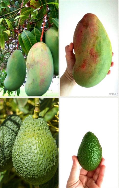 540 PLANTATION ROAD, VENICE, Florida 34293, 3 Bedrooms Bedrooms, 3 Rooms Rooms,2 BathroomsBathrooms,Residential,For sale,PLANTATION,U7837276