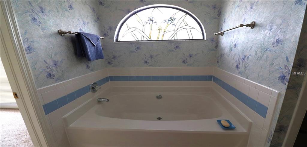 910 BALSAMINA DRIVE, BRANDON, Florida 33510, 4 Bedrooms Bedrooms, 3 Rooms Rooms,2 BathroomsBathrooms,Residential,For sale,BALSAMINA,T2923798