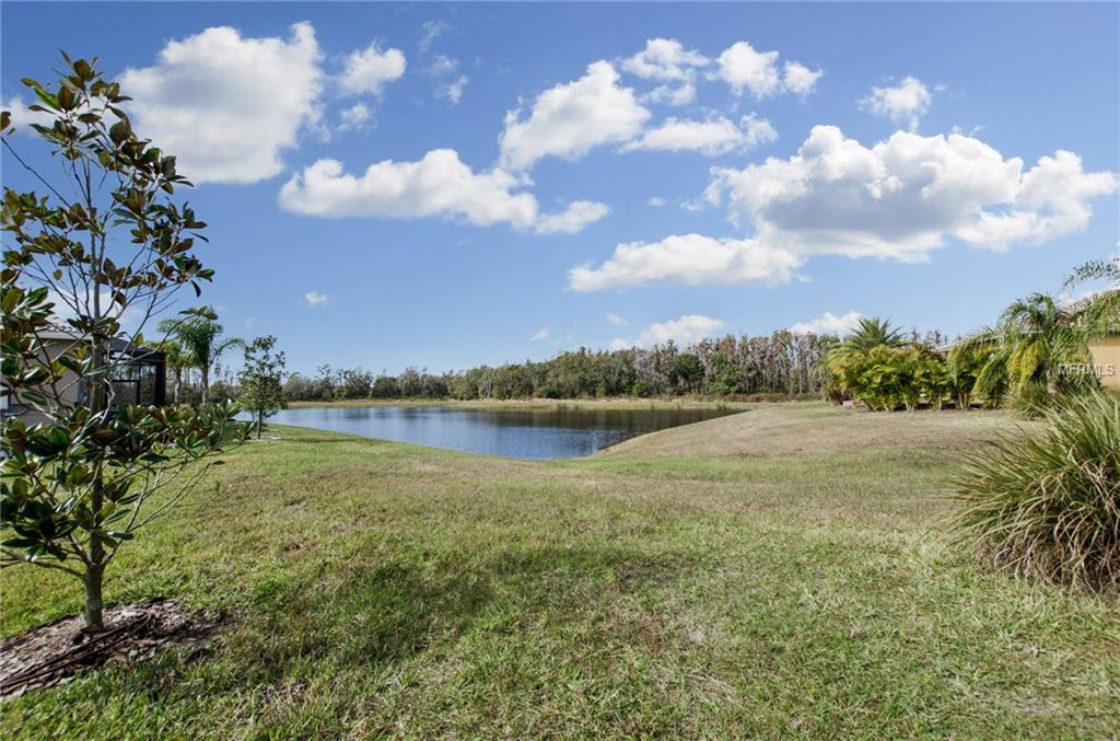 16011 CAPE CORAL DR, WIMAUMA, Florida 33598, 3 Bedrooms Bedrooms, 7 Rooms Rooms,3 BathroomsBathrooms,Residential,For sale,CAPE CORAL DR,T2921730