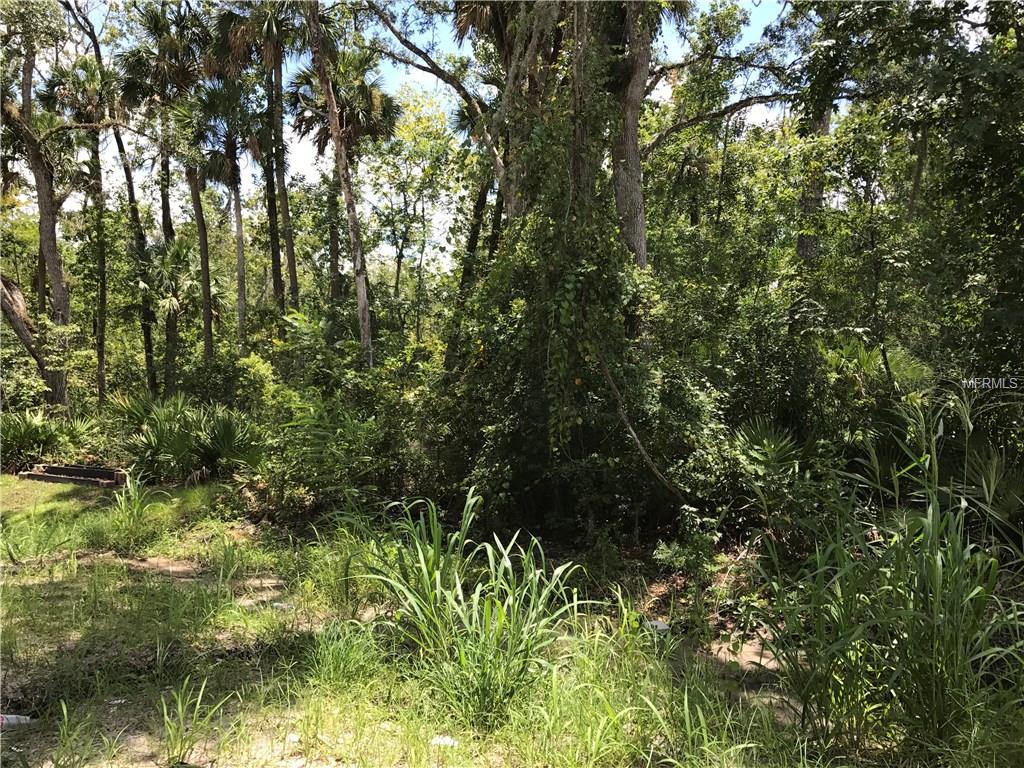 1426 TERRALAGO PLACE, OVIEDO, Florida 32765, 5 Bedrooms Bedrooms, 10 Rooms Rooms,6 BathroomsBathrooms,Residential,For sale,TERRALAGO,O5529502