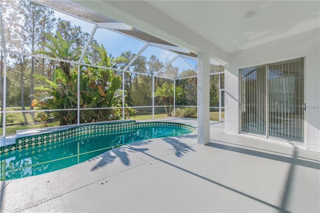 12564 LEATHERLEAF DRIVE, TAMPA, Florida 33626, 4 Bedrooms Bedrooms, 10 Rooms Rooms,3 BathroomsBathrooms,Residential,For sale,LEATHERLEAF,U7842433