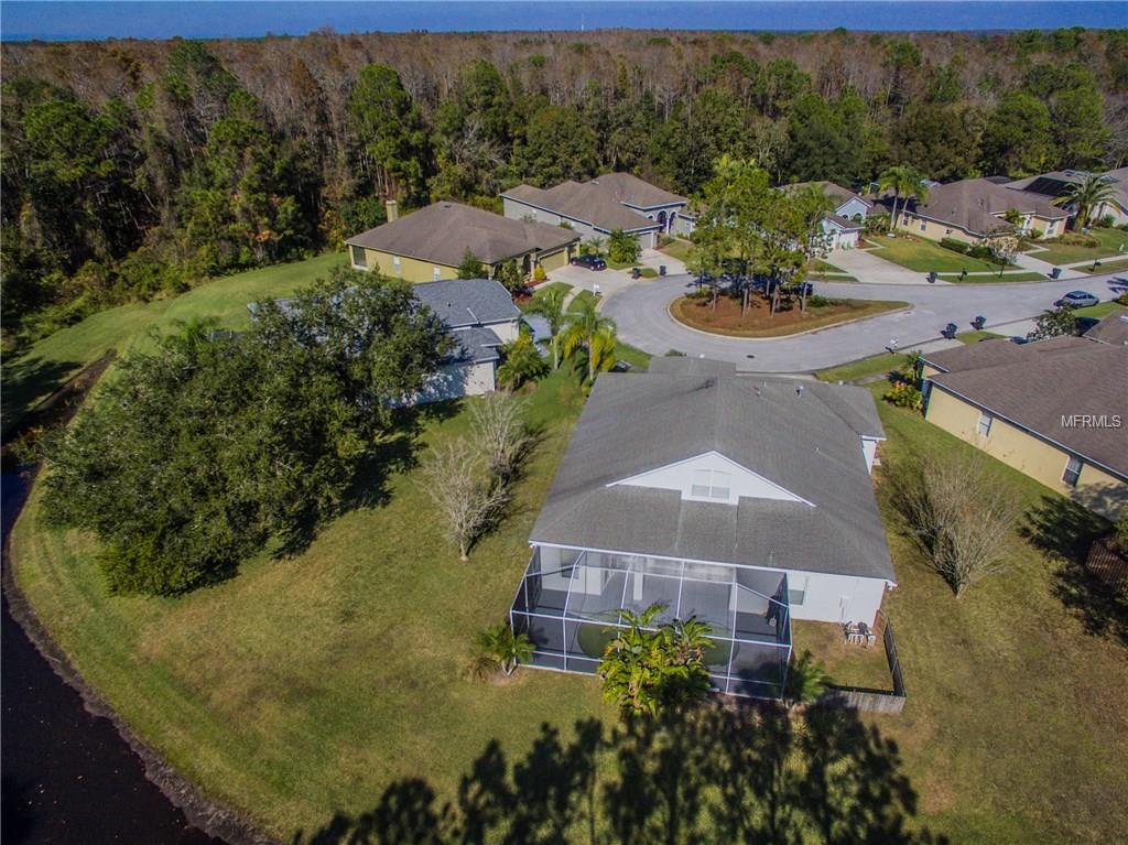 12564 LEATHERLEAF DRIVE, TAMPA, Florida 33626, 4 Bedrooms Bedrooms, 10 Rooms Rooms,3 BathroomsBathrooms,Residential,For sale,LEATHERLEAF,U7842433