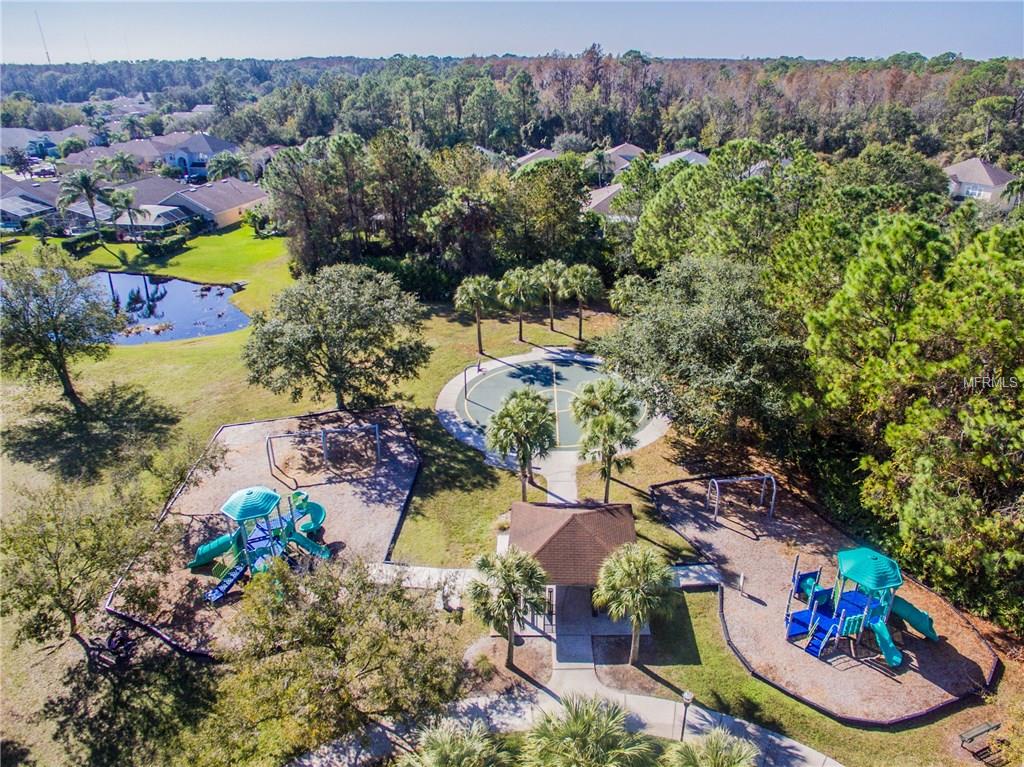 12564 LEATHERLEAF DRIVE, TAMPA, Florida 33626, 4 Bedrooms Bedrooms, 10 Rooms Rooms,3 BathroomsBathrooms,Residential,For sale,LEATHERLEAF,U7842433