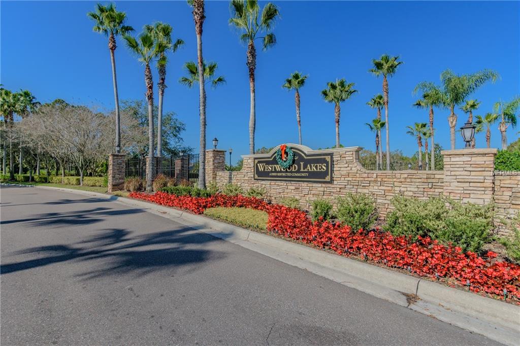 12564 LEATHERLEAF DRIVE, TAMPA, Florida 33626, 4 Bedrooms Bedrooms, 10 Rooms Rooms,3 BathroomsBathrooms,Residential,For sale,LEATHERLEAF,U7842433