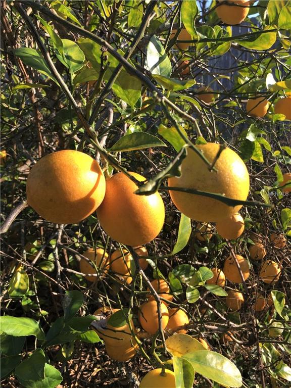 871 MOONGATE TERRACE, DELTONA, Florida 32725, 2 Bedrooms Bedrooms, 5 Rooms Rooms,1 BathroomBathrooms,Residential,For sale,MOONGATE,V4722408