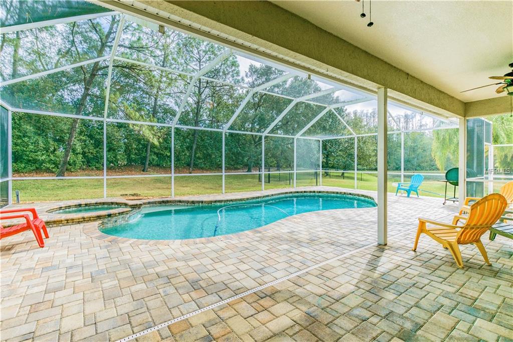 4037 AUSTON WAY, PALM HARBOR, Florida 34685, 5 Bedrooms Bedrooms, 11 Rooms Rooms,3 BathroomsBathrooms,Residential,For sale,AUSTON,U7842437