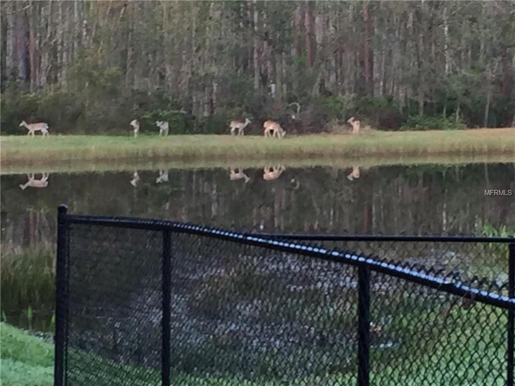 4037 AUSTON WAY, PALM HARBOR, Florida 34685, 5 Bedrooms Bedrooms, 11 Rooms Rooms,3 BathroomsBathrooms,Residential,For sale,AUSTON,U7842437