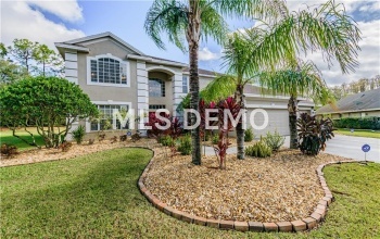 4037 AUSTON WAY, PALM HARBOR, Florida 34685, 5 Bedrooms Bedrooms, 11 Rooms Rooms,3 BathroomsBathrooms,Residential,For sale,AUSTON,U7842437