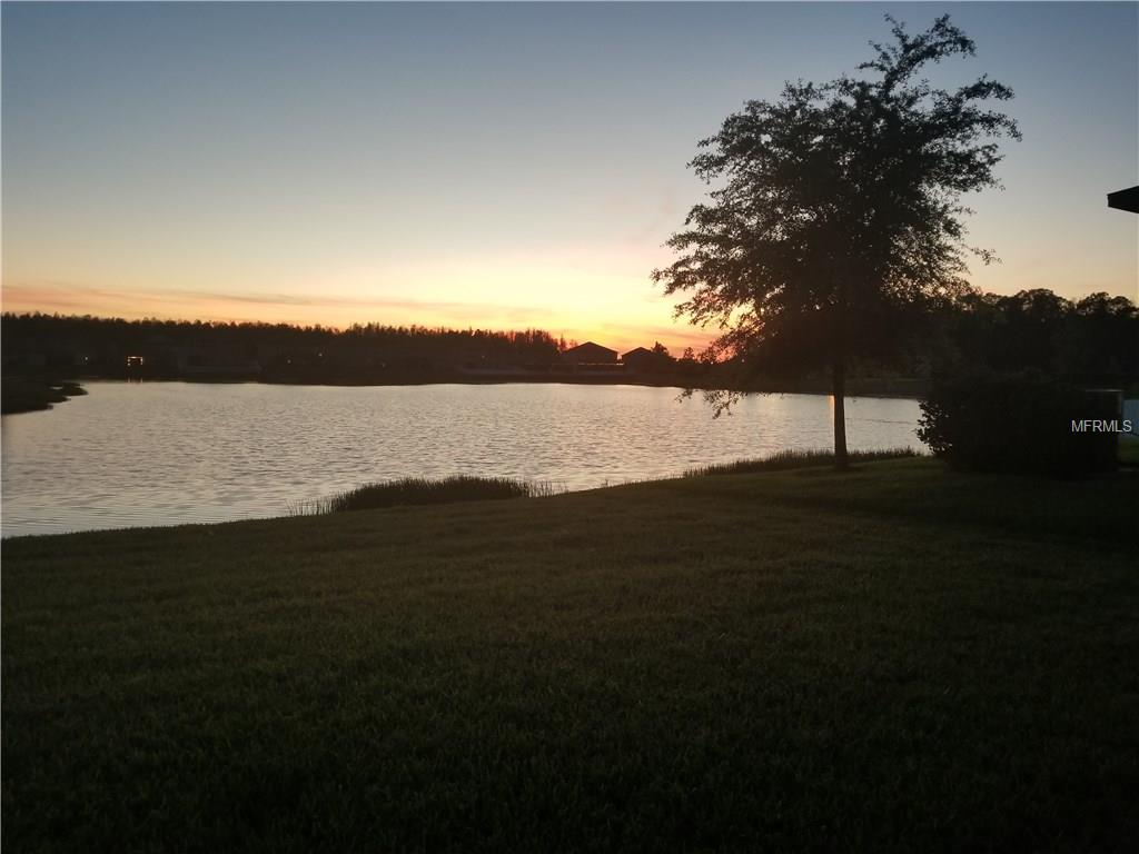 12721 MOUNTAIN SPRINGS PLACE, NEW PORT RICHEY, Florida 34655, 4 Bedrooms Bedrooms, 4 Rooms Rooms,2 BathroomsBathrooms,Residential,For sale,MOUNTAIN SPRINGS,W7636837