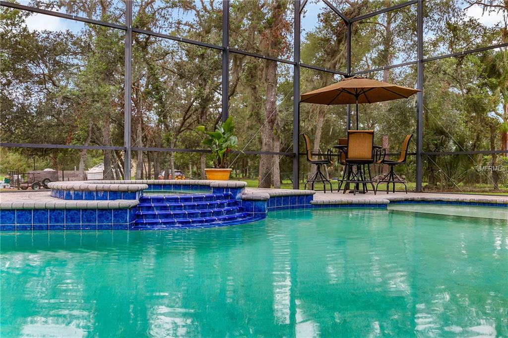 384 RACCOON STREET, LAKE MARY, Florida 32746, 6 Bedrooms Bedrooms, 11 Rooms Rooms,5 BathroomsBathrooms,Residential,For sale,RACCOON,O5541341