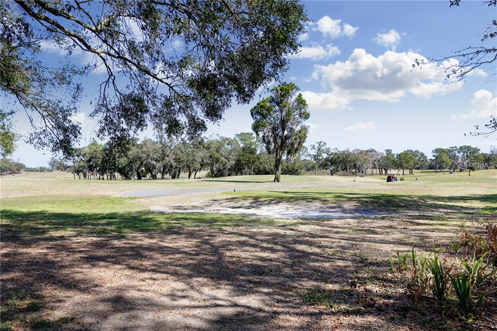 1106 EMERALD HILL WAY, VALRICO, Florida 33594, 4 Bedrooms Bedrooms, 8 Rooms Rooms,2 BathroomsBathrooms,Residential,For sale,EMERALD HILL,T2928182