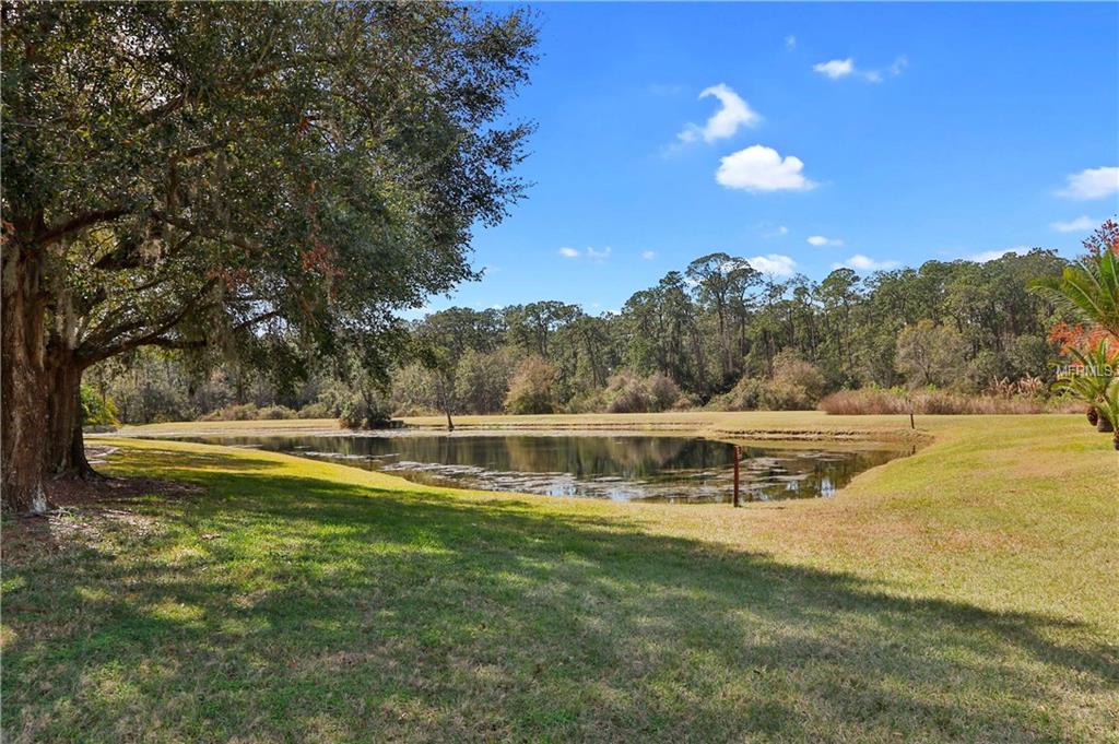 19513 WYNDMILL CIRCLE, ODESSA, Florida 33556, 3 Bedrooms Bedrooms, 7 Rooms Rooms,2 BathroomsBathrooms,Residential,For sale,WYNDMILL,T2927995