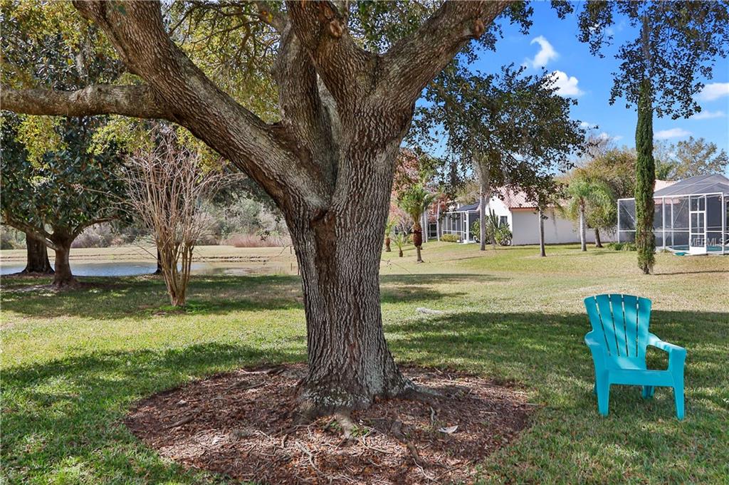 19513 WYNDMILL CIRCLE, ODESSA, Florida 33556, 3 Bedrooms Bedrooms, 7 Rooms Rooms,2 BathroomsBathrooms,Residential,For sale,WYNDMILL,T2927995