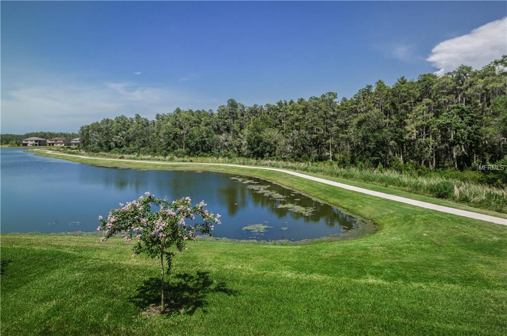 12523 HITCHING STREET, ODESSA, Florida 33556, 4 Bedrooms Bedrooms, 11 Rooms Rooms,4 BathroomsBathrooms,Residential,For sale,HITCHING,U7844628