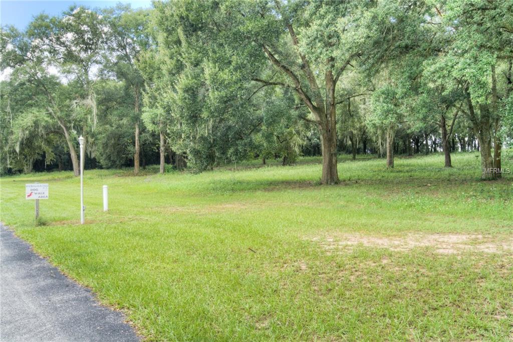 10053 EQUITY AVENUE, DADE CITY, Florida 33525, 2 Bedrooms Bedrooms, 6 Rooms Rooms,2 BathroomsBathrooms,Residential,For sale,EQUITY,E2205031