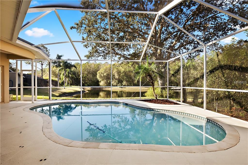 4458 WORTHINGTON COURT, PALM HARBOR, Florida 34685, 4 Bedrooms Bedrooms, 3 Rooms Rooms,3 BathroomsBathrooms,Residential,For sale,WORTHINGTON,U7844629