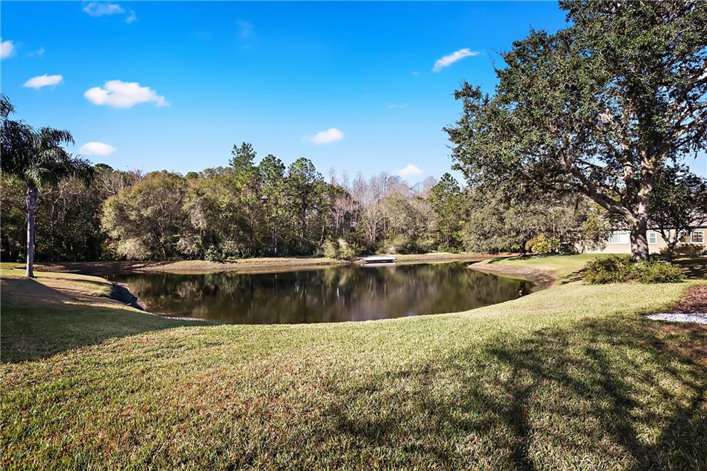 4458 WORTHINGTON COURT, PALM HARBOR, Florida 34685, 4 Bedrooms Bedrooms, 3 Rooms Rooms,3 BathroomsBathrooms,Residential,For sale,WORTHINGTON,U7844629