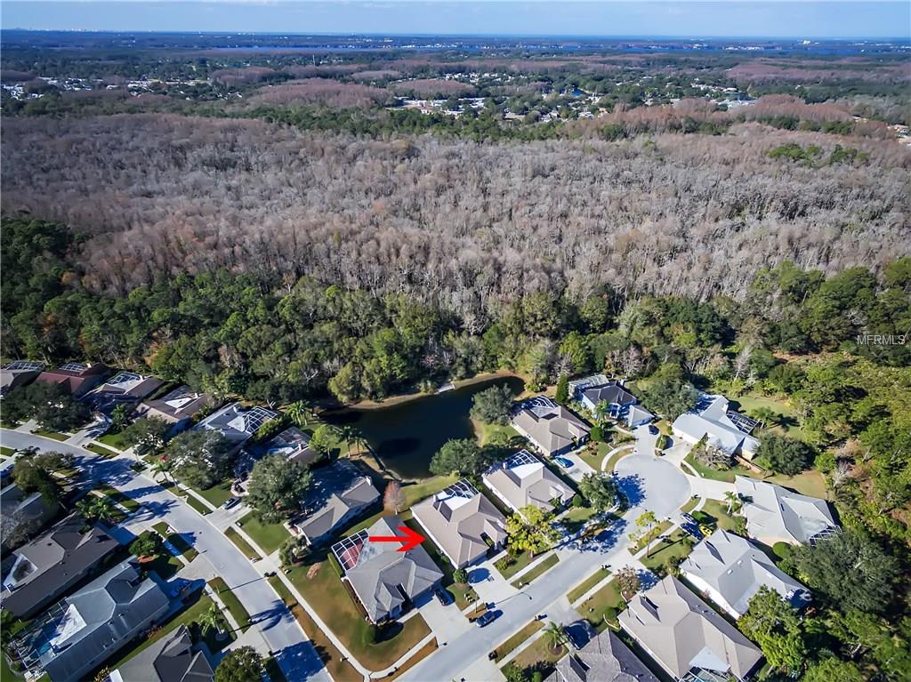 4458 WORTHINGTON COURT, PALM HARBOR, Florida 34685, 4 Bedrooms Bedrooms, 3 Rooms Rooms,3 BathroomsBathrooms,Residential,For sale,WORTHINGTON,U7844629