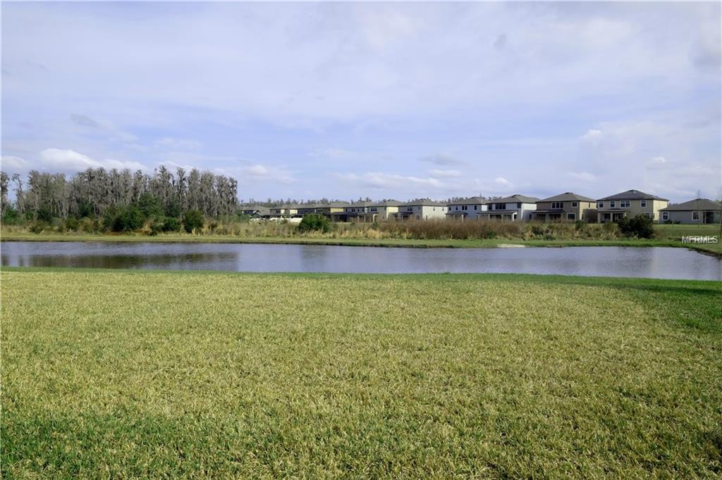 19503 SEA MYRTLE WAY, TAMPA, Florida 33647, 3 Bedrooms Bedrooms, 8 Rooms Rooms,2 BathroomsBathrooms,Residential,For sale,SEA MYRTLE,T2928437