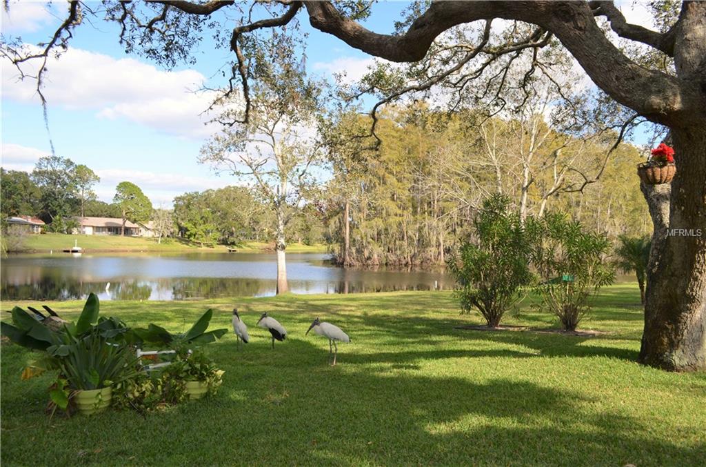 12418 WEATHERSTONE ROW, BAYONET POINT, Florida 34667, 3 Bedrooms Bedrooms, 9 Rooms Rooms,2 BathroomsBathrooms,Residential,For sale,WEATHERSTONE,W7634999