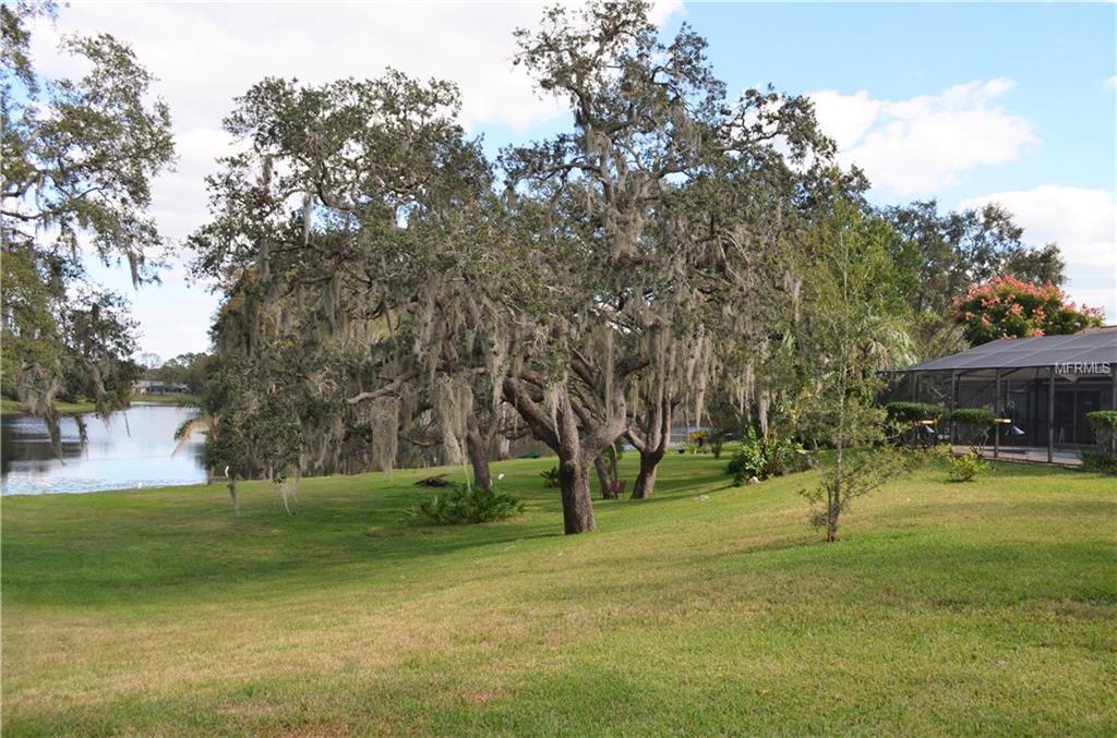 12418 WEATHERSTONE ROW, BAYONET POINT, Florida 34667, 3 Bedrooms Bedrooms, 9 Rooms Rooms,2 BathroomsBathrooms,Residential,For sale,WEATHERSTONE,W7634999