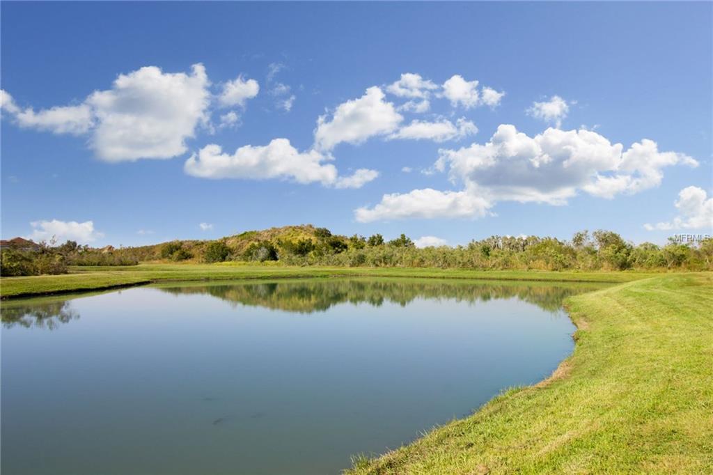 20228 NATURES SPIRIT DRIVE, TAMPA, Florida 33647, 4 Bedrooms Bedrooms, 7 Rooms Rooms,2 BathroomsBathrooms,Residential,For sale,NATURES SPIRIT,T2928185