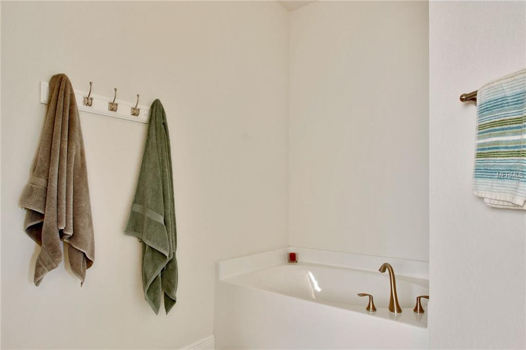 20228 NATURES SPIRIT DRIVE, TAMPA, Florida 33647, 4 Bedrooms Bedrooms, 7 Rooms Rooms,2 BathroomsBathrooms,Residential,For sale,NATURES SPIRIT,T2928185