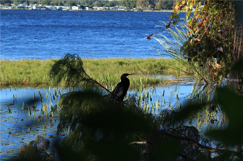 3612 CABANA COURT, PALM HARBOR, Florida 34684, 2 Bedrooms Bedrooms, 4 Rooms Rooms,2 BathroomsBathrooms,Residential,For sale,CABANA,U7846944