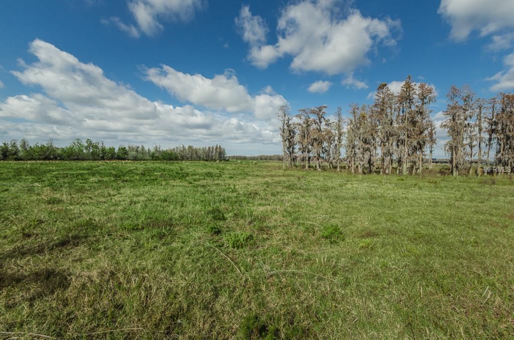 2148 FLAMEFLOWER COURT, TRINITY, Florida 34655, 4 Bedrooms Bedrooms, 3 Rooms Rooms,3 BathroomsBathrooms,Residential,For sale,FLAMEFLOWER,U7842499