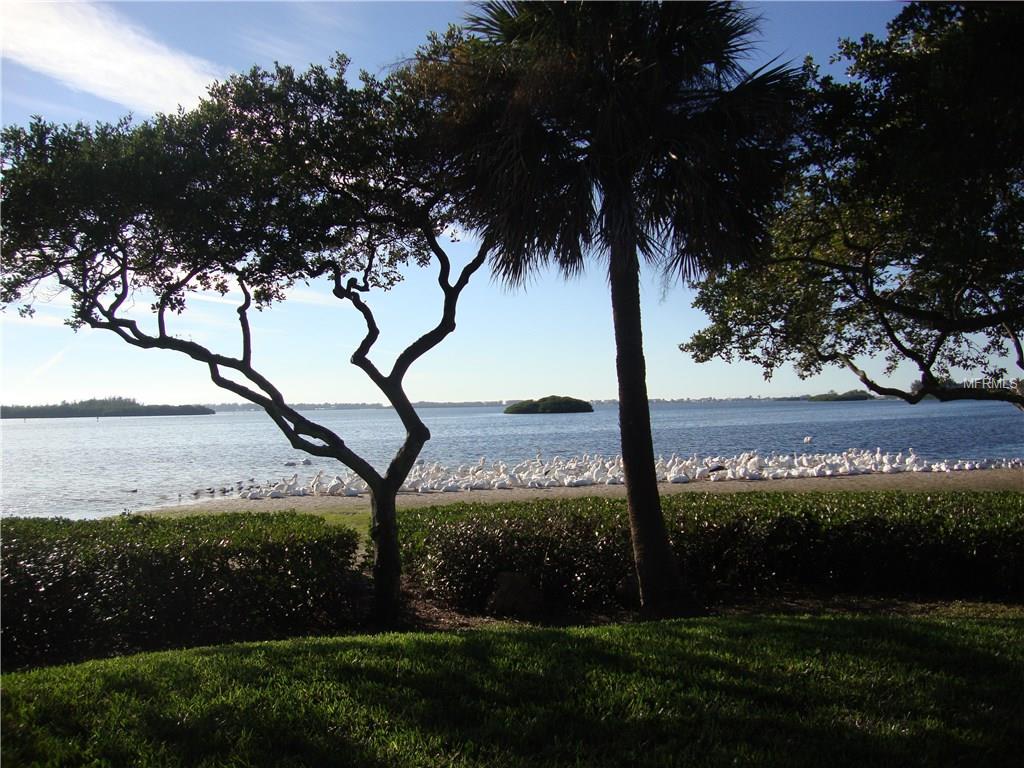 4863 INDEPENDENCE DRIVE, BRADENTON, Florida 34210, 2 Bedrooms Bedrooms, 5 Rooms Rooms,2 BathroomsBathrooms,Residential,For sale,INDEPENDENCE,A4206029