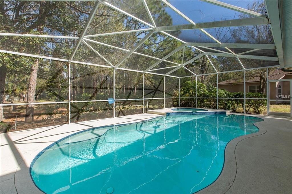 2333 WARWICK DRIVE, OLDSMAR, Florida 34677, 5 Bedrooms Bedrooms, 3 Rooms Rooms,3 BathroomsBathrooms,Residential,For sale,WARWICK,U7846949