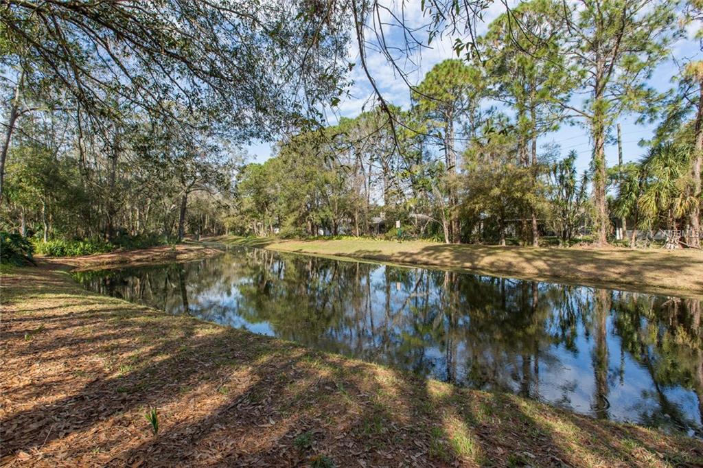 2333 WARWICK DRIVE, OLDSMAR, Florida 34677, 5 Bedrooms Bedrooms, 3 Rooms Rooms,3 BathroomsBathrooms,Residential,For sale,WARWICK,U7846949