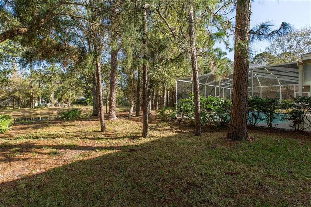 2333 WARWICK DRIVE, OLDSMAR, Florida 34677, 5 Bedrooms Bedrooms, 3 Rooms Rooms,3 BathroomsBathrooms,Residential,For sale,WARWICK,U7846949