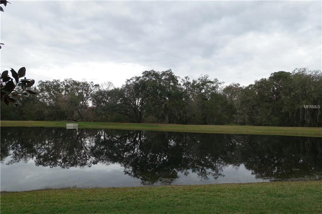 10099 HART BRANCH CIRCLE, ORLANDO, Florida 32832, 4 Bedrooms Bedrooms, 3 Rooms Rooms,3 BathroomsBathrooms,Residential,For sale,HART BRANCH,O5561716